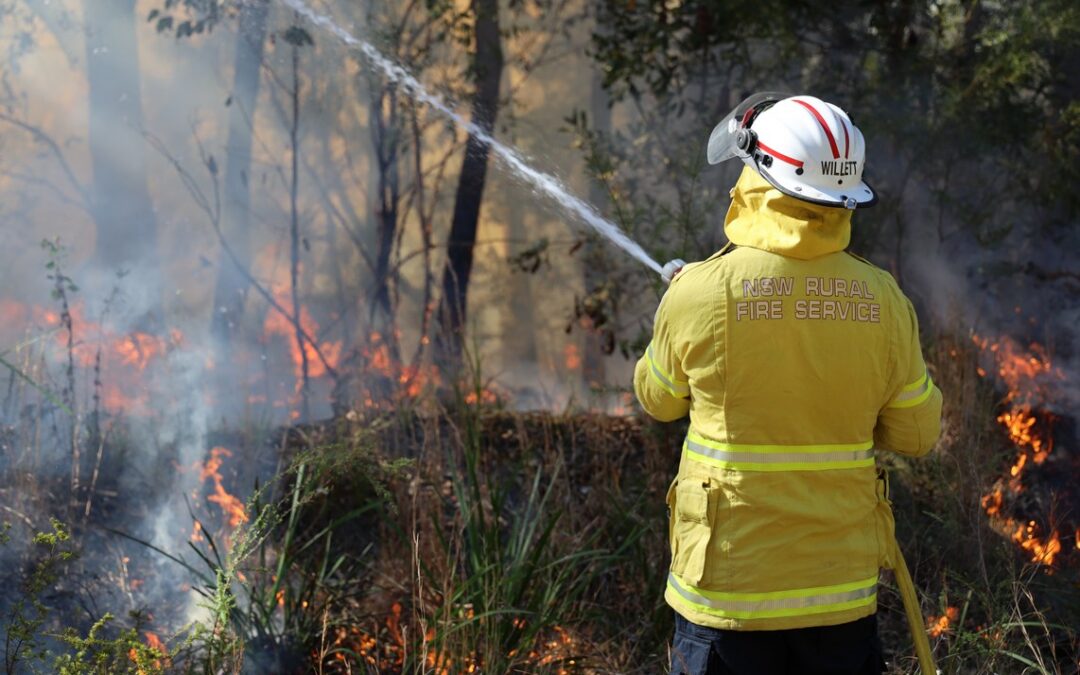 Central and South East NSW most at risk this summer