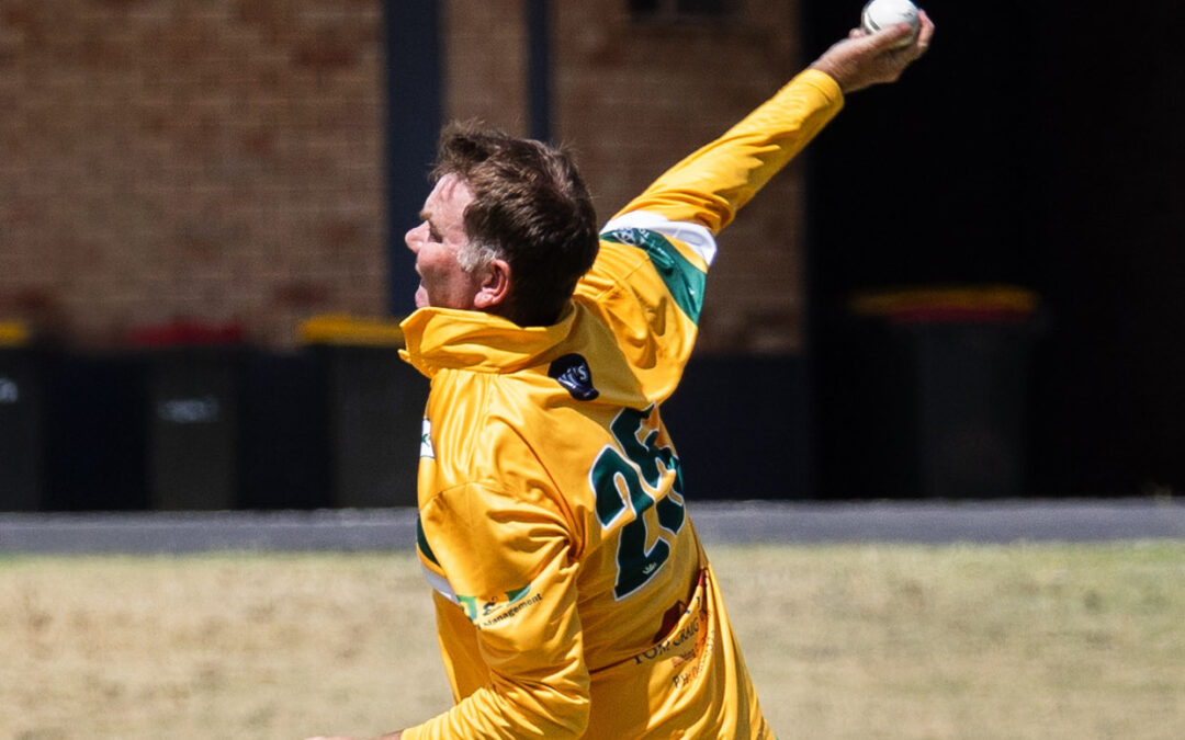 Tatts end the NDCA first grade T20 season on a high