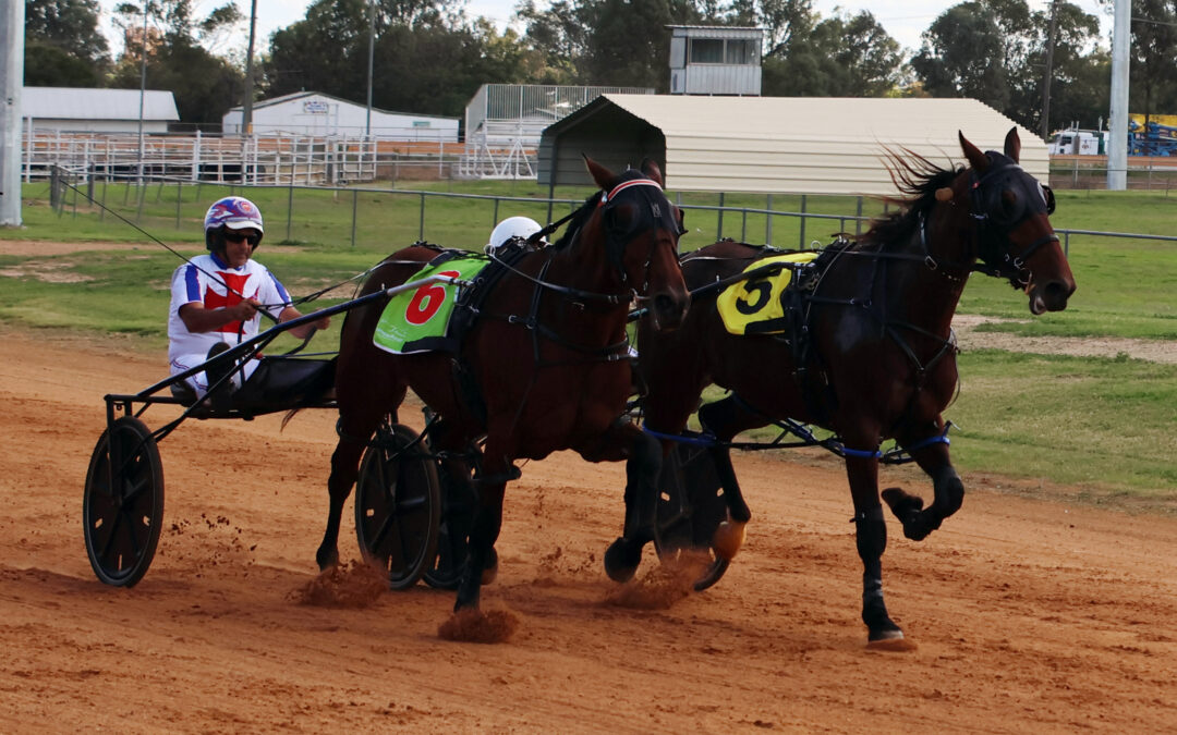 Hetherington pacers impress as harness racing returns to Narrabri