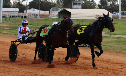 Mortimer shines despite Red Devils’ defeat against Inverell