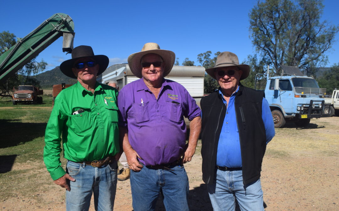 Successful ‘Couradda’ clearing sale for Guest family