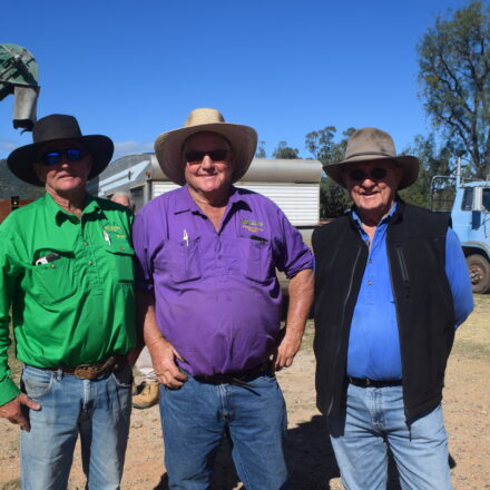 Successful ‘Couradda’ clearing sale for Guest family