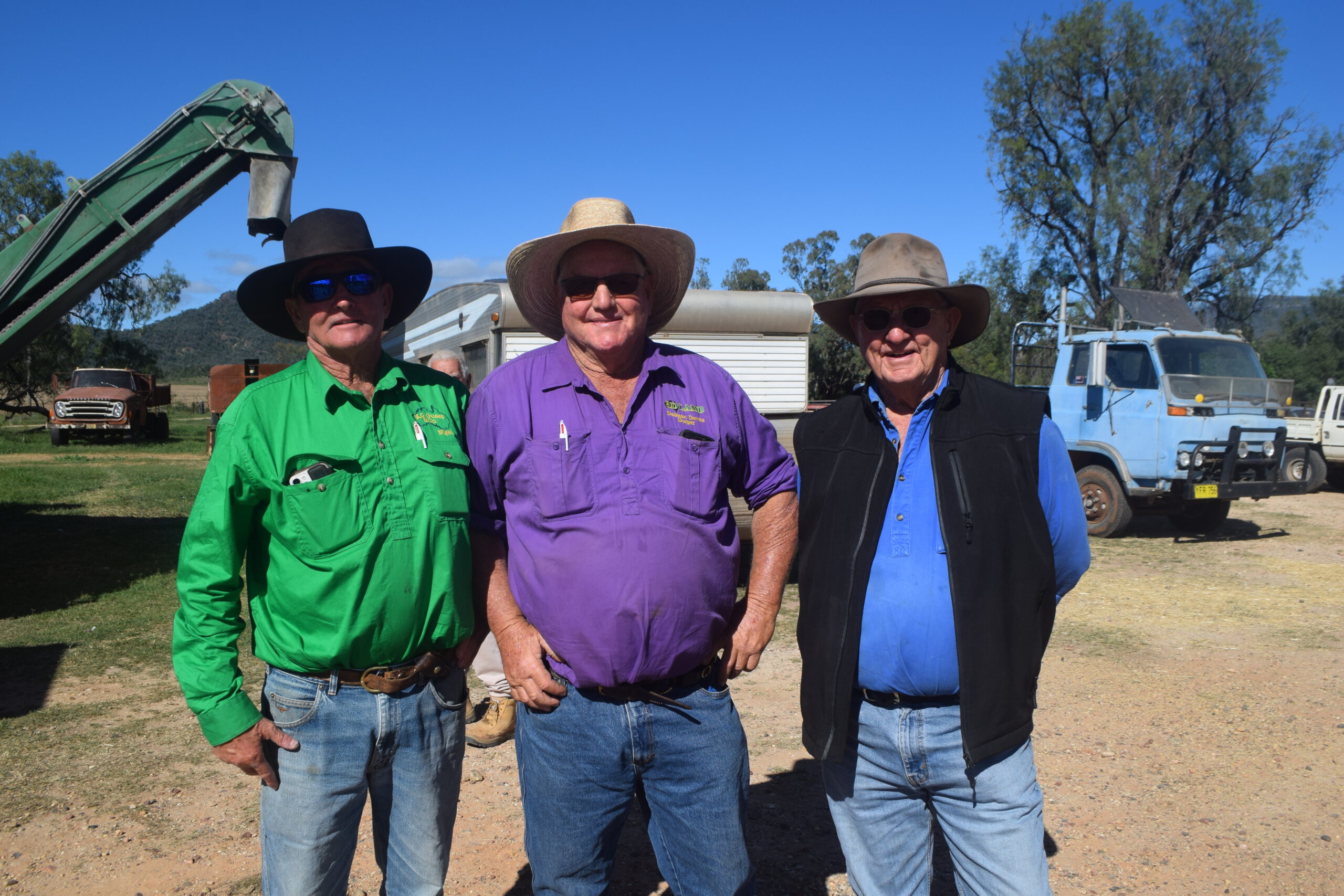 Successful ‘Couradda’ clearing sale for Guest family