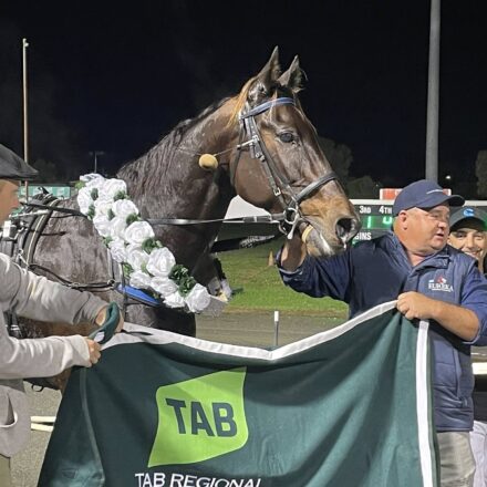 Jarred Hetherington-trained pacer wins TAB Regional Championship Hunter final