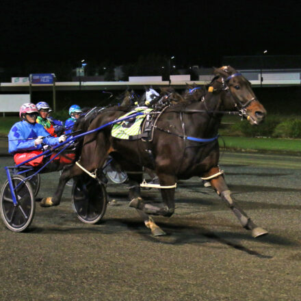 Jarred Hetherington-trained Rock Fisherman qualifies for $100,000 final in Newcastle