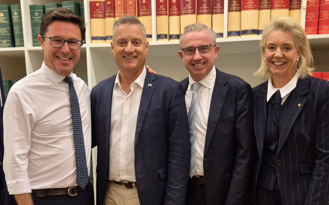 Decision to split with Liberal Party ‘momentous’: Chaffey