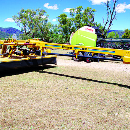 All roads lead to ‘Couradda’ clearing sale on Saturday, May 10