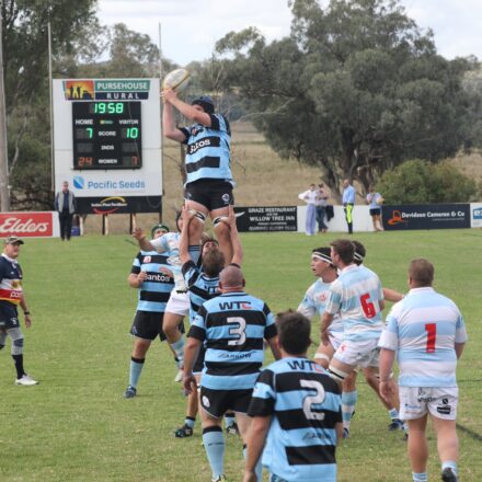 Positive signs despite loss for Blue Boars’ reserve graders