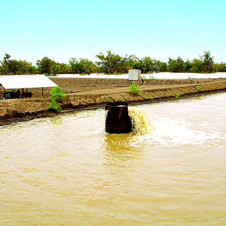 Sought after General Security Water up for auction