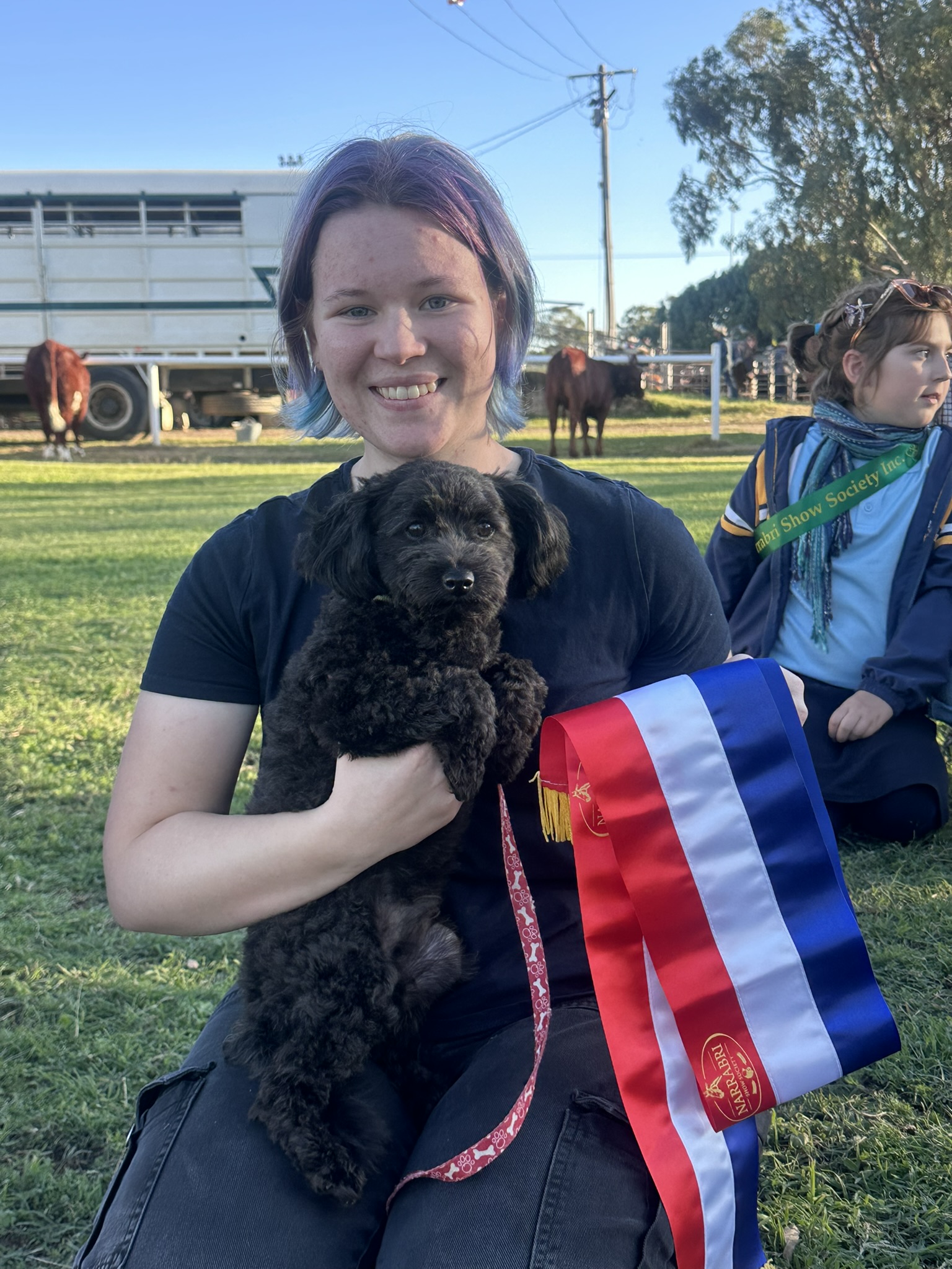 All creatures big and  small at pet show