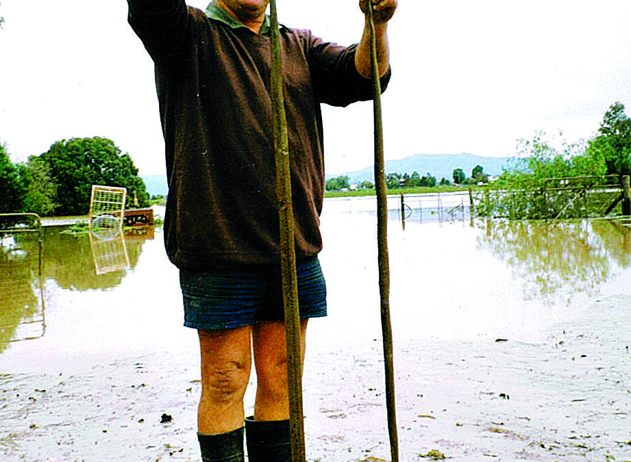 From The Courier archives: 1998 wildlife flood victims