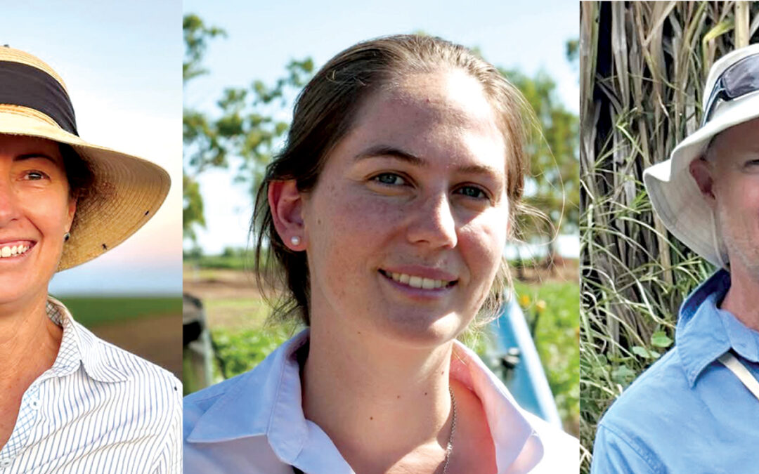 Cotton Researcher of the Year finalists announced