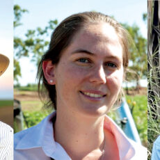 Cotton Researcher of the Year finalists announced