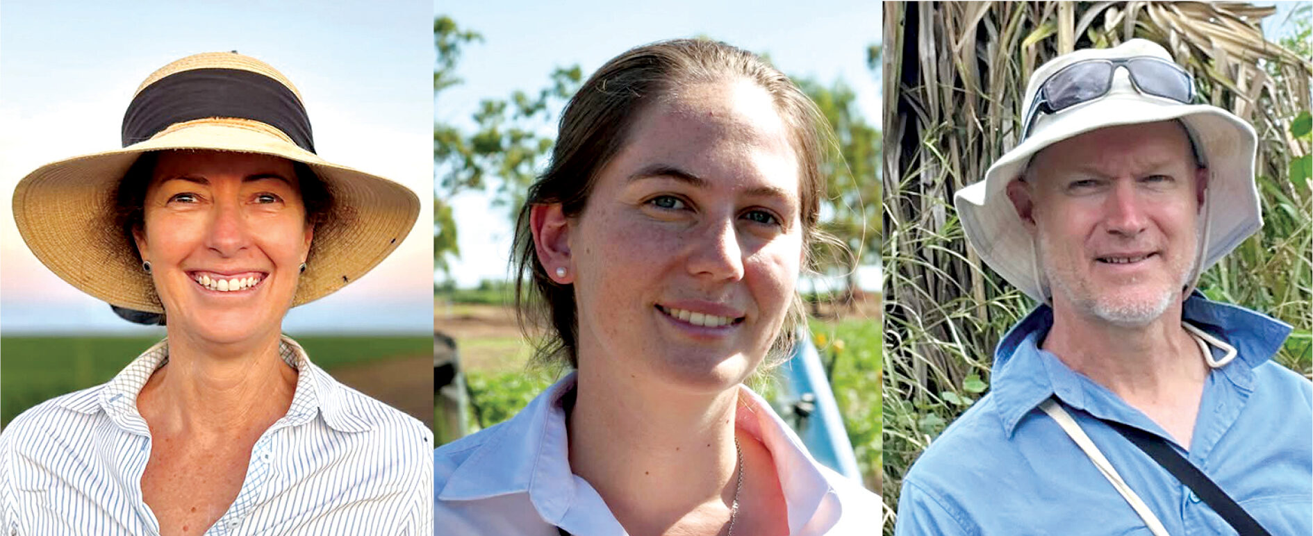 Cotton Researcher of the Year finalists announced