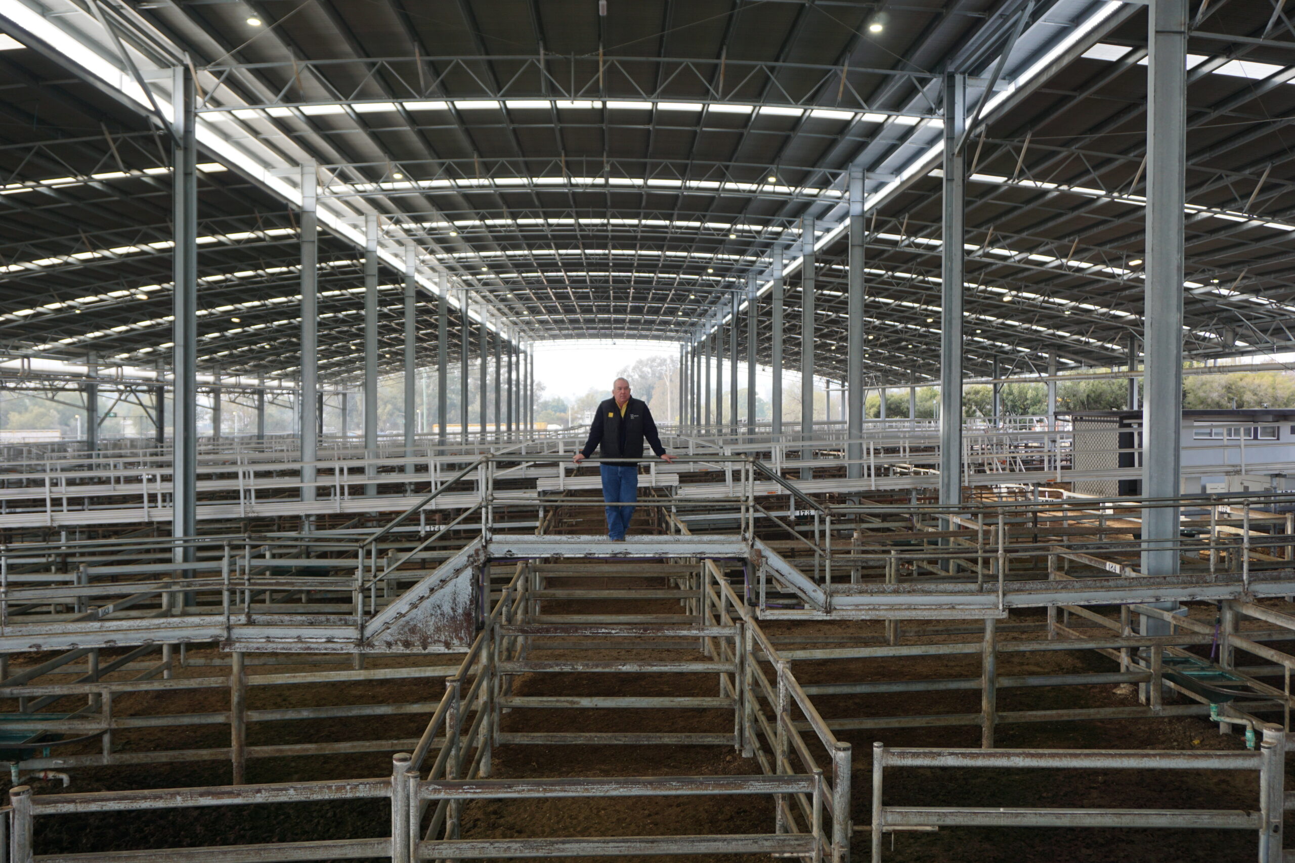 Gunnedah Regional Saleyards $27.4 million redevelopment officially opened