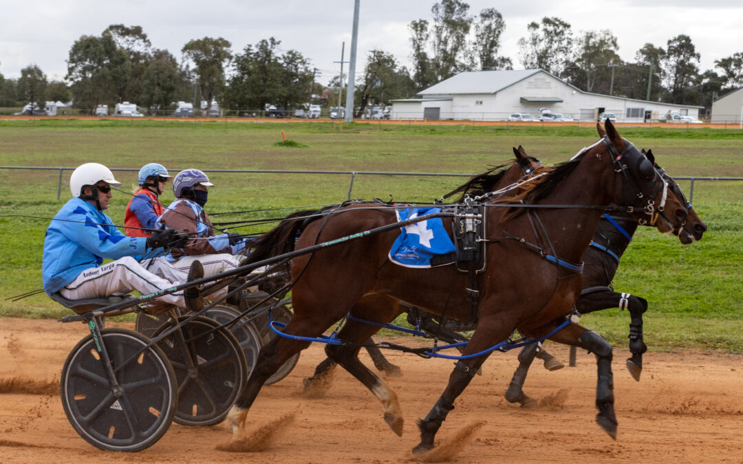 Hetherington stable claims the John and Beryl Dean Memorial Final at Narrabri meeting