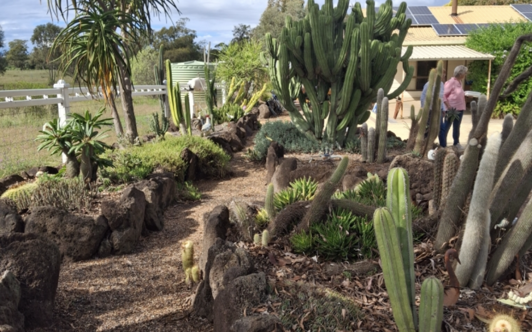 Garden Club visits local cacti garden