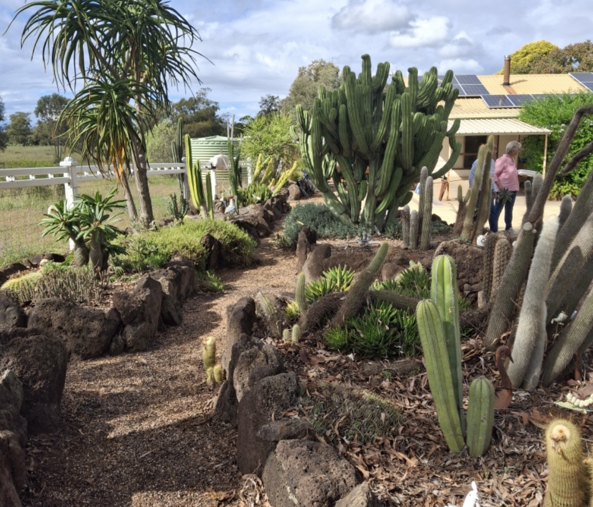 Garden Club visits local cacti garden
