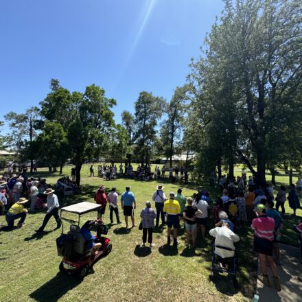 Wee Waa front of mind in health district inquiry