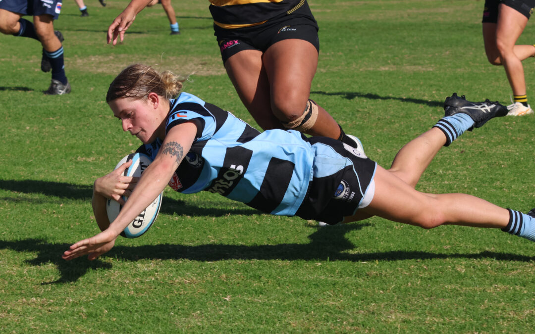 Blue Boars duo named in the NSW Country Corellas squad