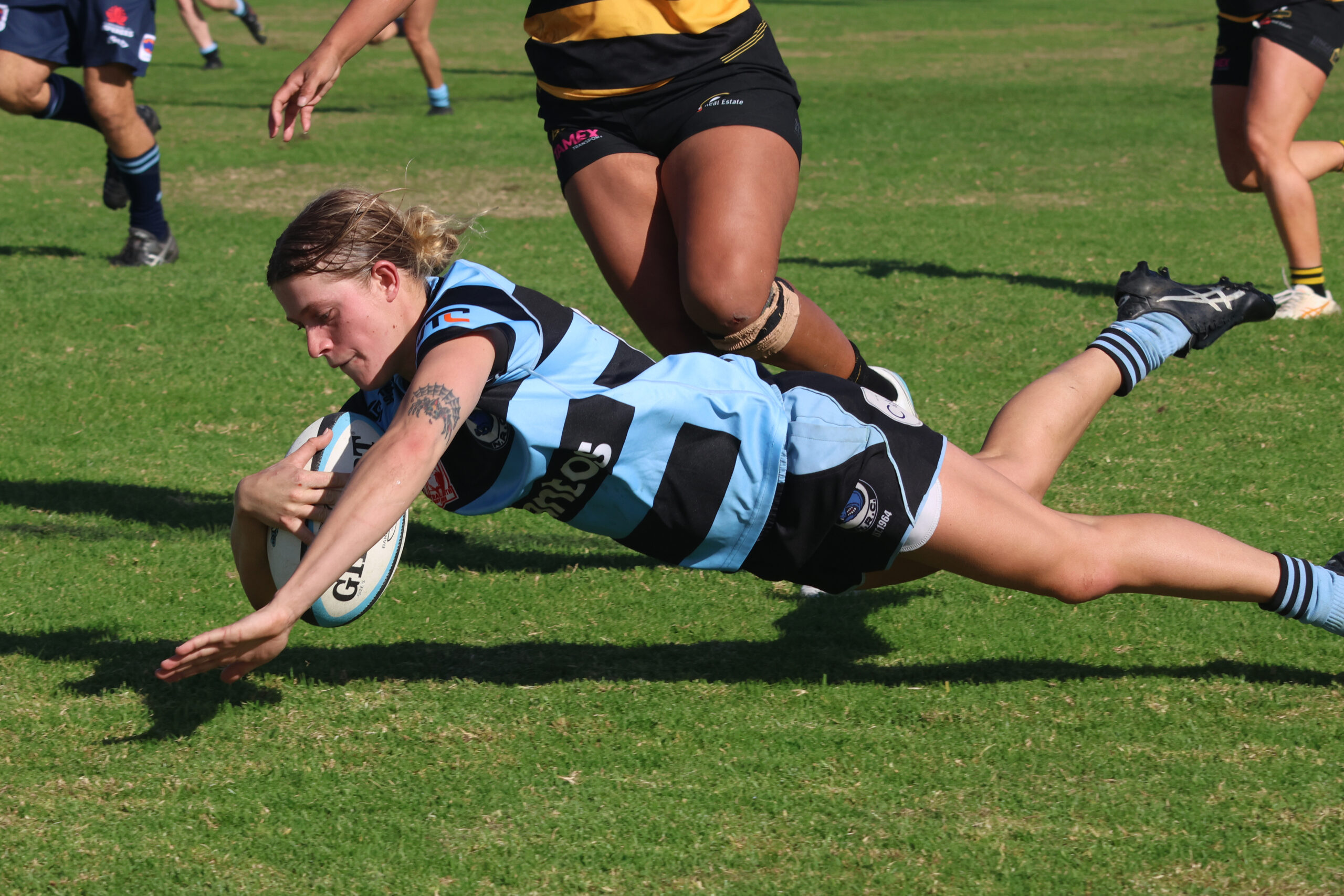 Blue Boars duo named in the NSW Country Corellas squad