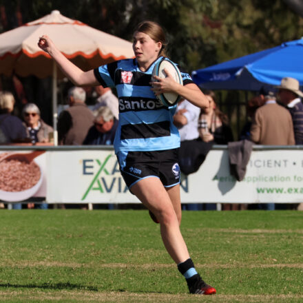 Blue Boars remain undefeated in CNRU women’s comp following another Dangar Park demolition