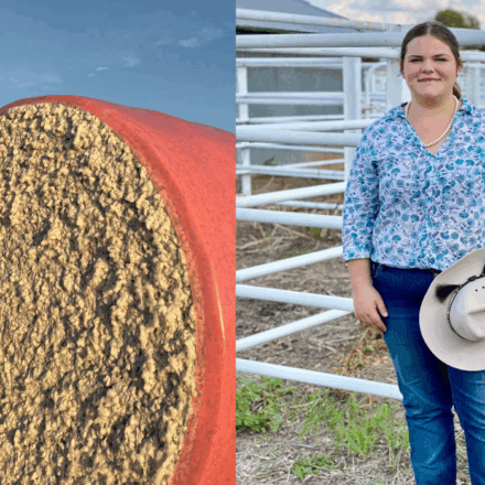 Young Wee Waarians awarded AgriFutures scholarships