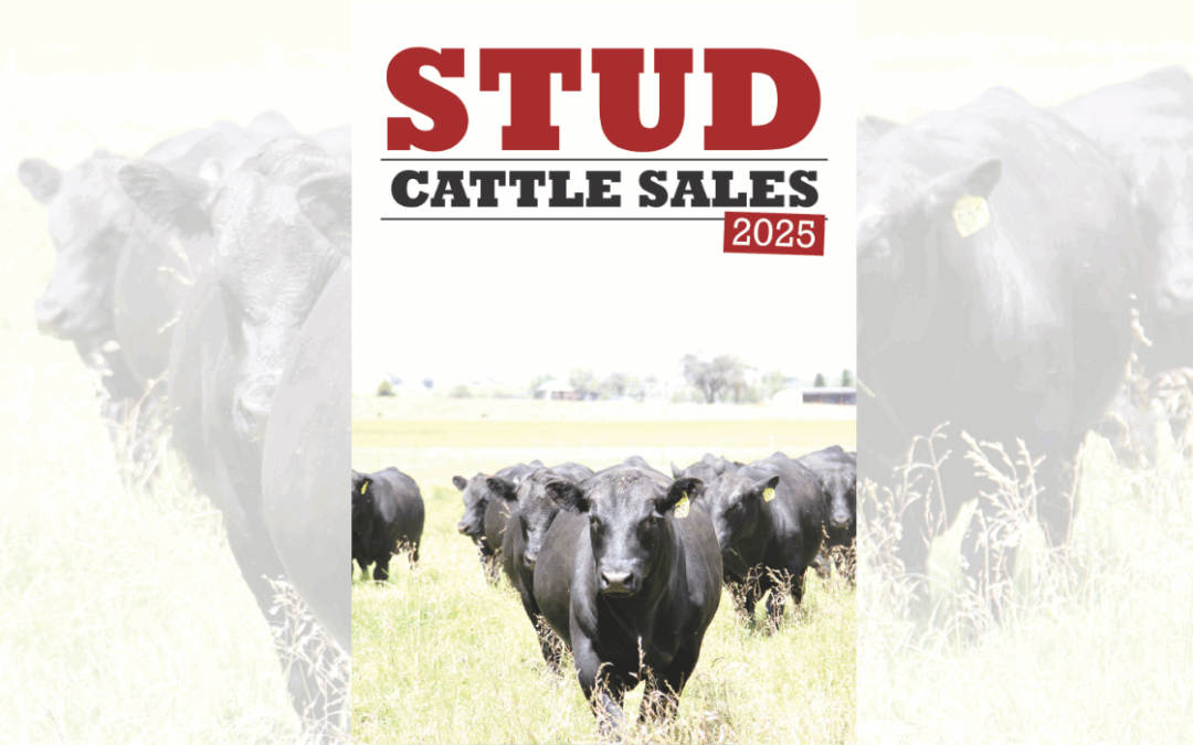 Courier publishes second edition of annual Stud Cattle Sales magazine