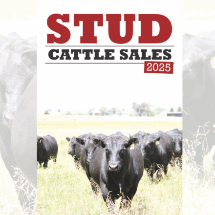 Courier publishes second edition of annual Stud Cattle Sales magazine