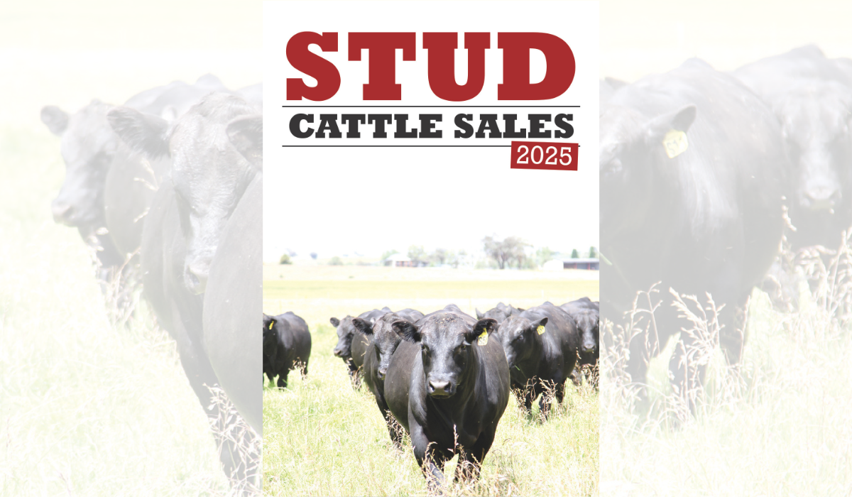 Courier publishes second edition of annual Stud Cattle Sales magazine