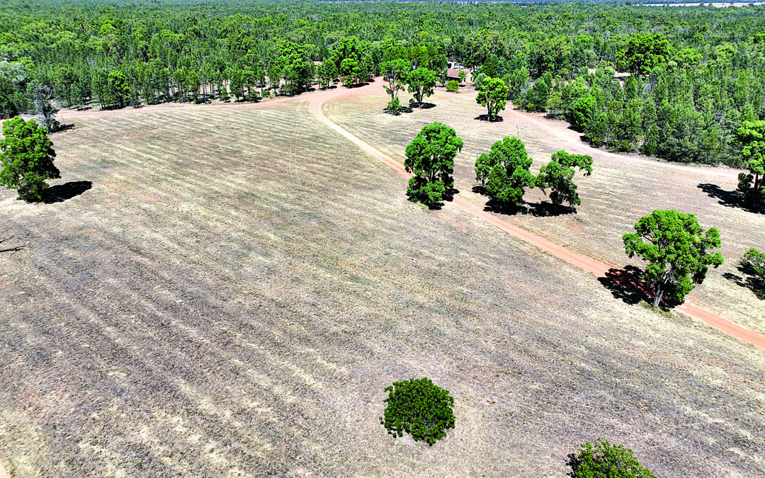 Well improved rural lifestyle property for $700,000