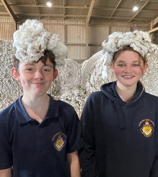 NHS Careers Immersion to AFF – cotton ginning in action