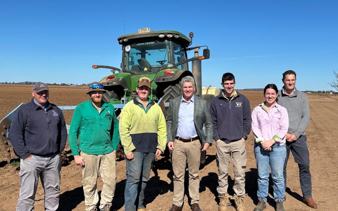 Bellevue Pastoral Company a success story in renewed AgSkilled program