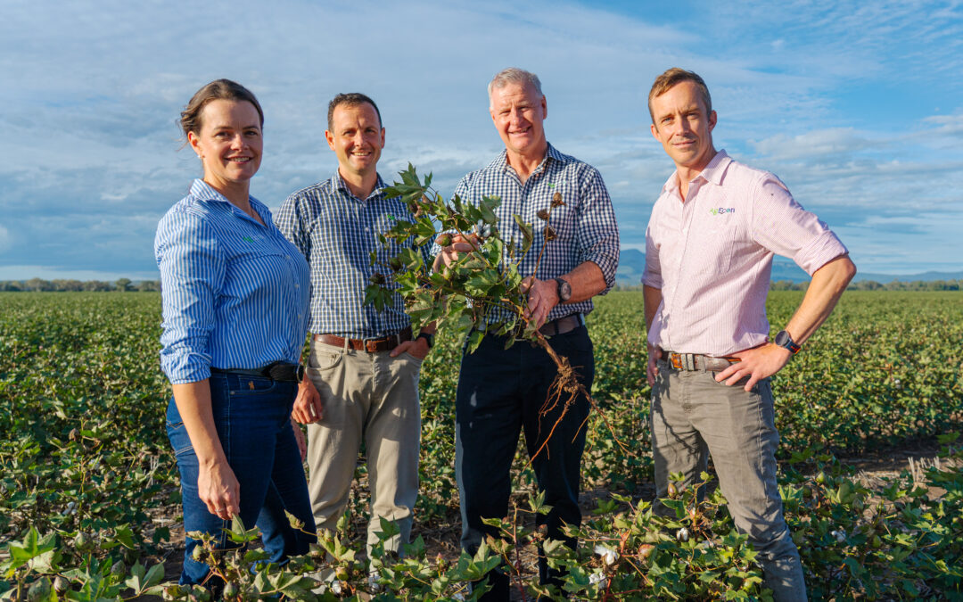Burren Junction firm secures drought research project