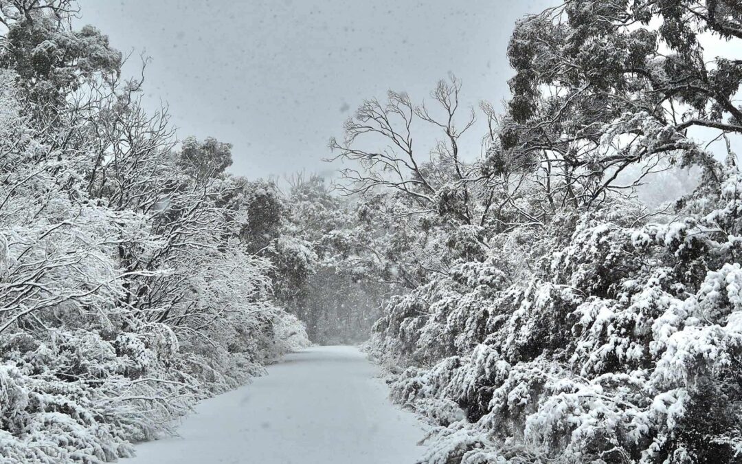 Mount Kaputar transformed into winter wonderland