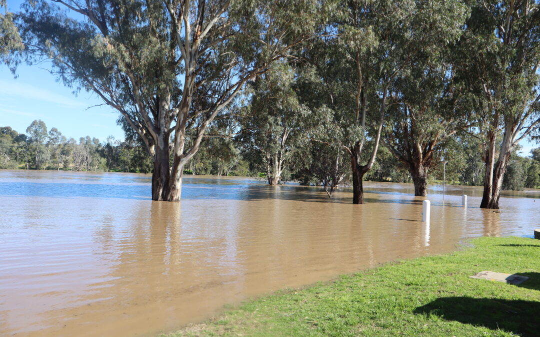 Update on flood recovery works at council meeting
