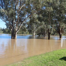 Update on flood recovery works at council meeting