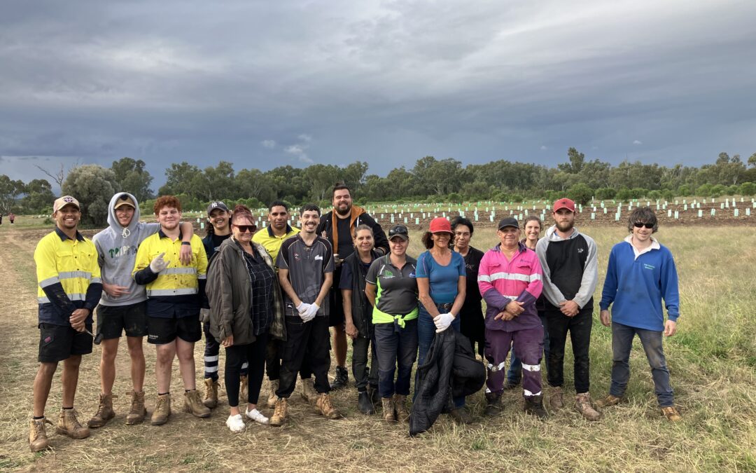 Planting starts on climate smart demonstration