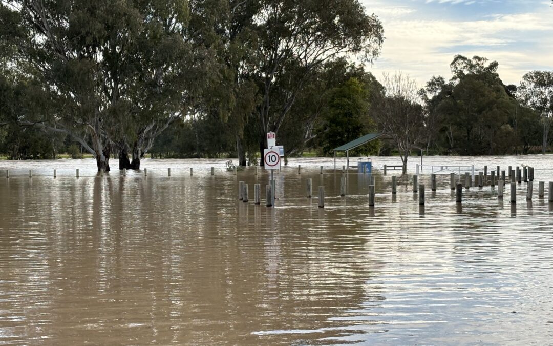 Major flooding recorded in Narrabri, Wee Waa