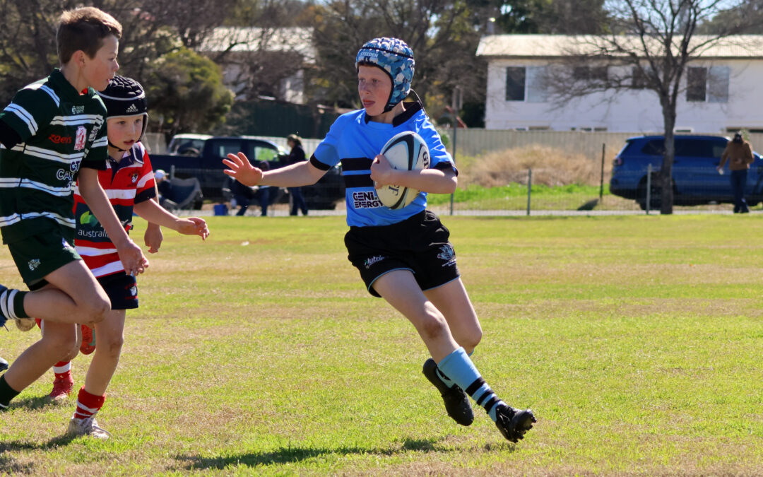 More than 500 youngsters line up at Narrabri Junior Rugby Club gala day | PHOTOS