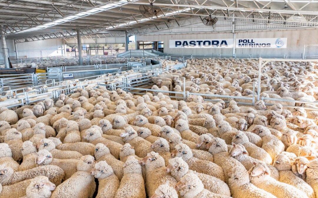 Stockpro: Made for Aussie farms