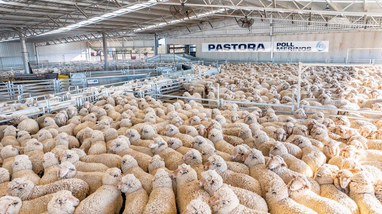 Stockpro: Made for Aussie farms