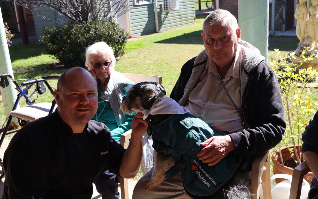 Therapy animals bring comfort, care and joy