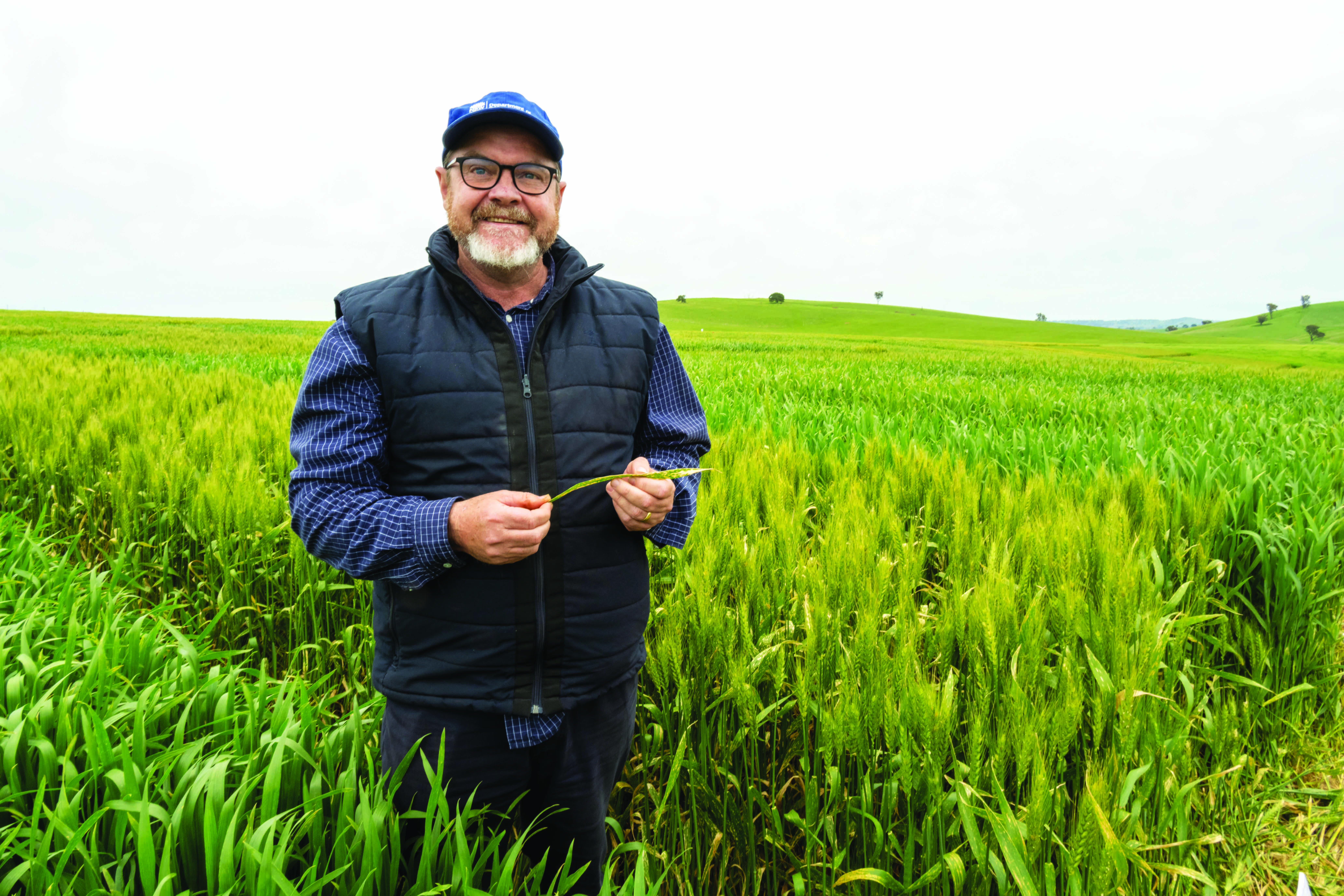 Cereal pathologist honoured  as Brownhill Cup recipient