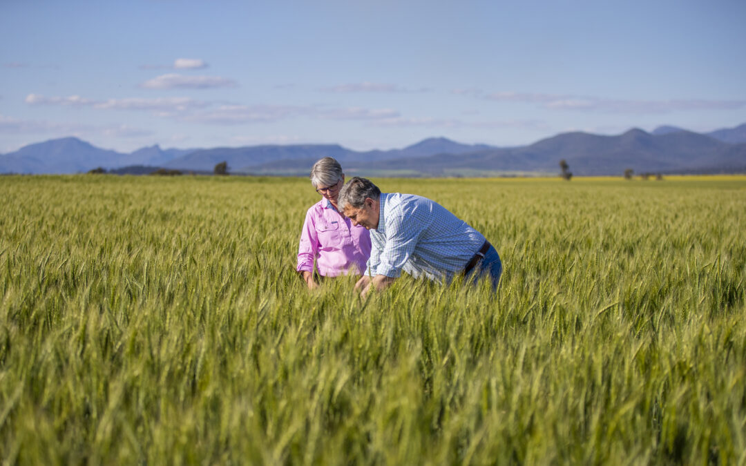 Rural Property NSW: Connected to the land