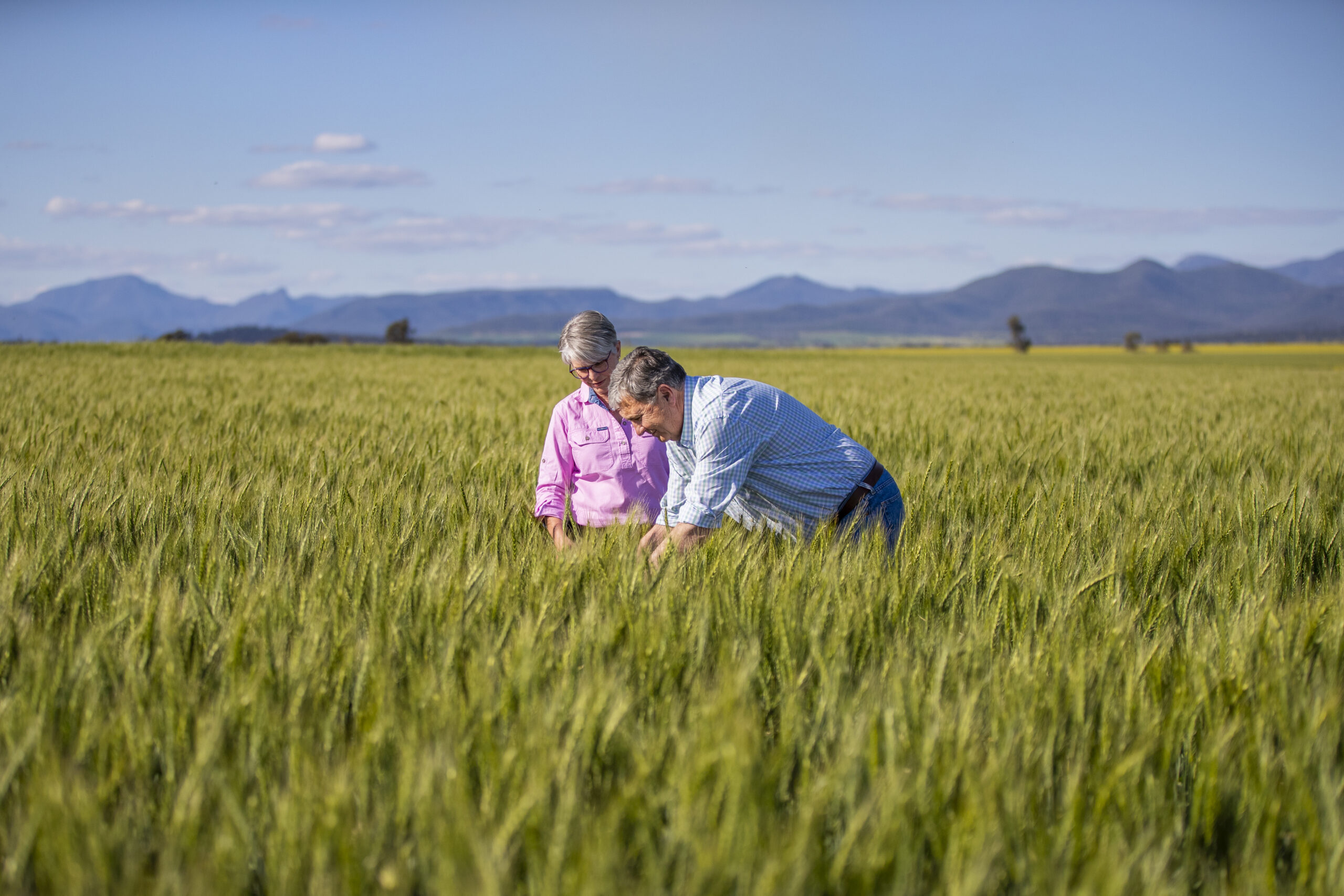 Rural Property NSW: Connected to the land