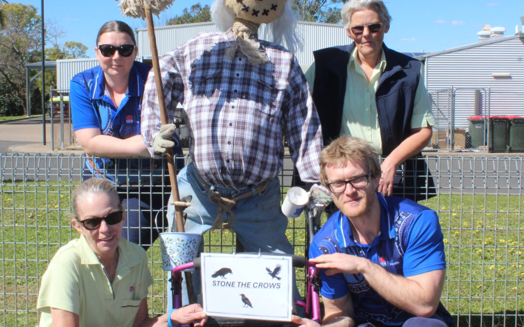 Boggabri residents angered at vandalism after trying to deter crows