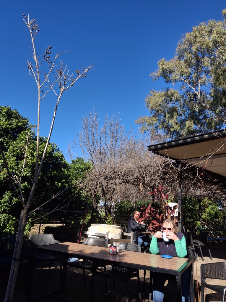 Open invitation to Garden Club’s ‘Welcome to Spring’ meeting