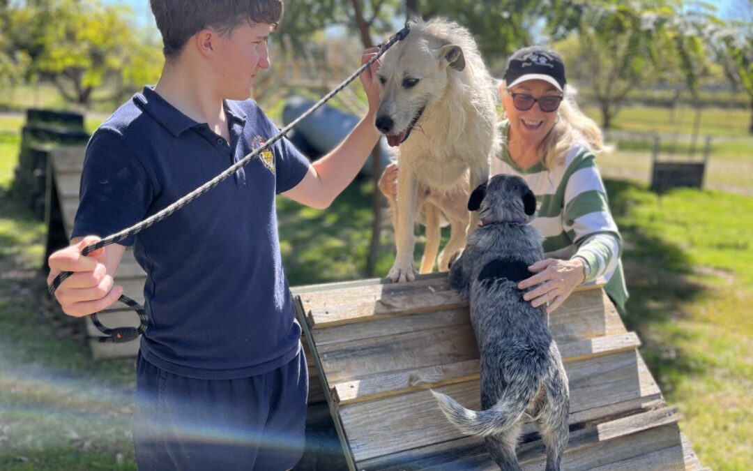 IM Ready class visits local dog trainer