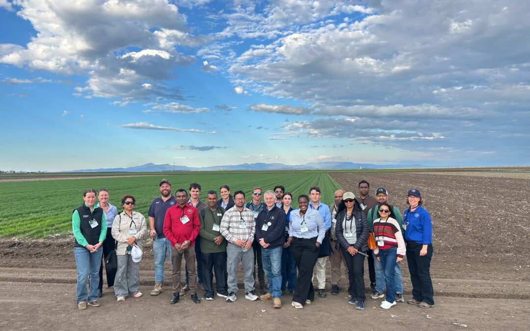 Cotton research takes centre stage in Narrabri